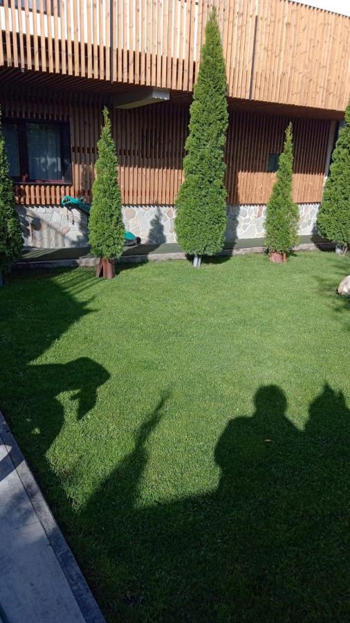 Hotel Casa Borgo Braşov Exterior foto